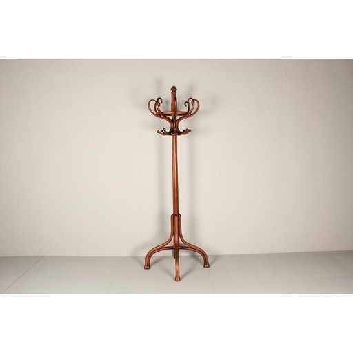 Porte-manteau vintage en hêtre teinté, 1900