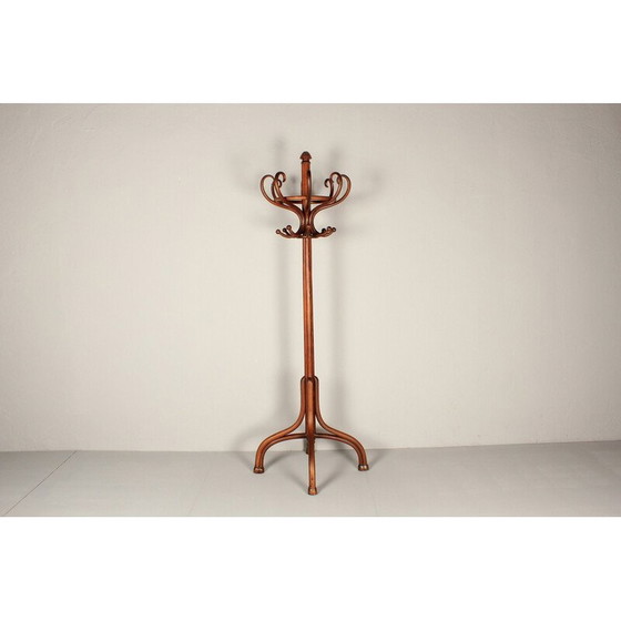 Image 1 of Porte-manteau vintage en hêtre teinté, 1900
