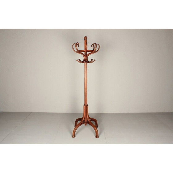 Image 1 of Porte-manteau vintage en hêtre teinté, 1900
