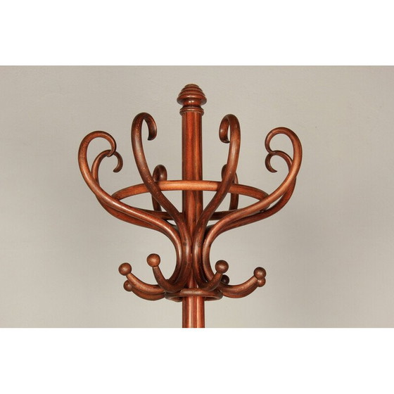 Image 1 of Porte-manteau vintage en hêtre teinté, 1900
