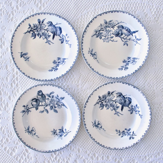 Image 1 of Assiettes Xixe Sarreguemines "Favori" Terre De Fer Aux Oiseaux