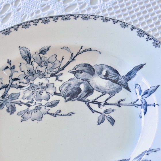 Image 1 of Assiettes Xixe Sarreguemines "Favori" Terre De Fer Aux Oiseaux