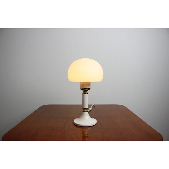 Image 1 of Lampe de table Mid Century Drukov, 1960s