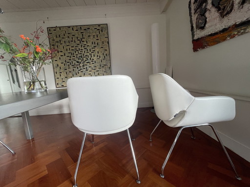 6X Artifort Cap Chairs