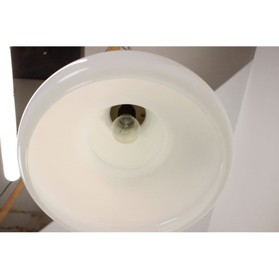 Image 1 of Lampe suspendue vintage en verre et laiton par Napako, Tchécoslovaquie 1960