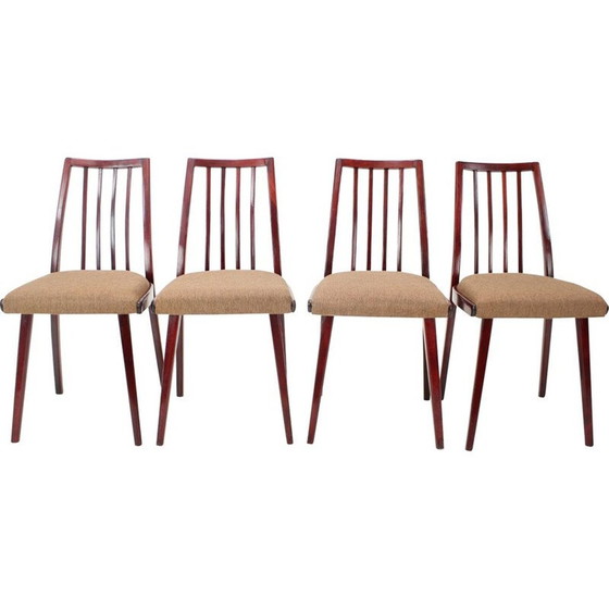 Image 1 of Ensemble de 4 chaises de salle à manger en bois vintage par Jitona, Tchécoslovaquie 1970