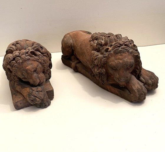 Image 1 of Lions de Chatsworth