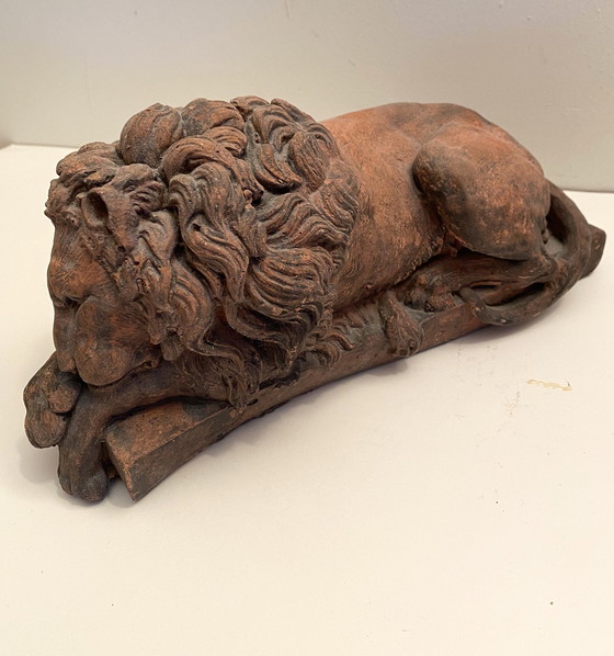 Image 1 of Lions de Chatsworth