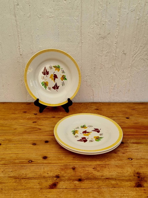 Lot De 3 Assiettes Plates Digoin Sarreguemines Modèle Sirocco