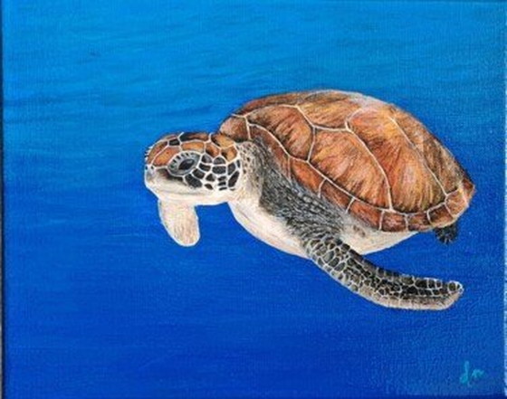 Image 1 of Peinture acrylique tortue 24X30 Cm