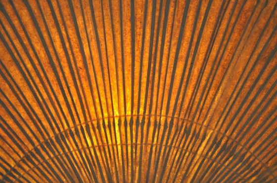 Image 1 of Paire d'appliques "Uchiwa" par Ingo Maurer pour M Design, 1970S