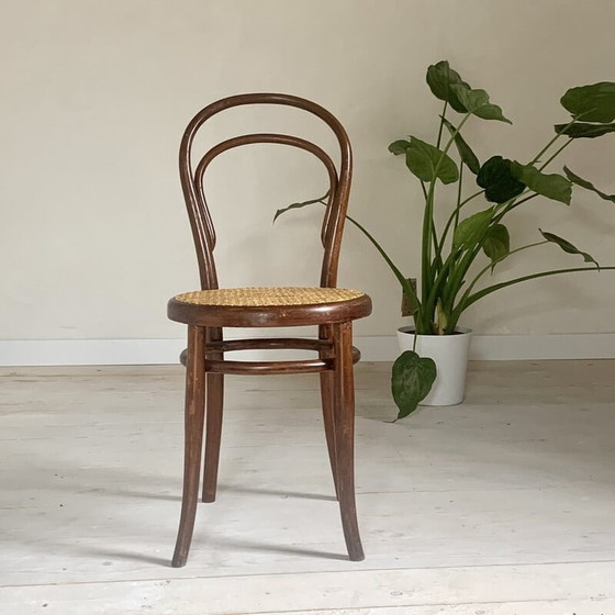 Image 1 of Ensemble de 4 chaises Thonet vintage modèle 14-1