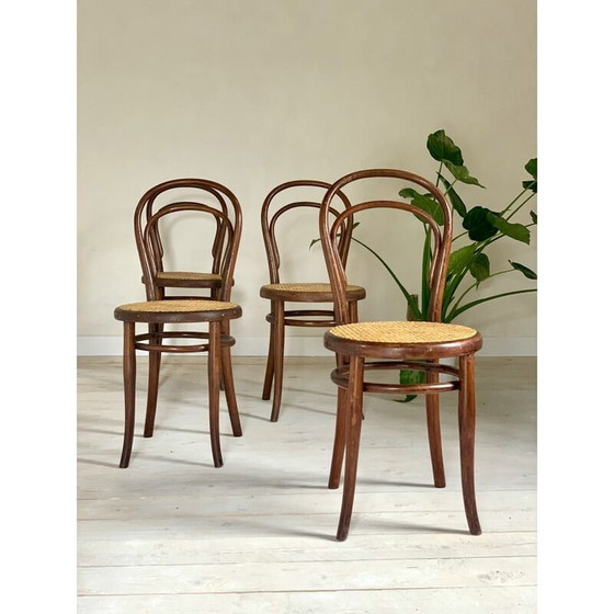 Image 1 of Ensemble de 4 chaises Thonet vintage modèle 14-1