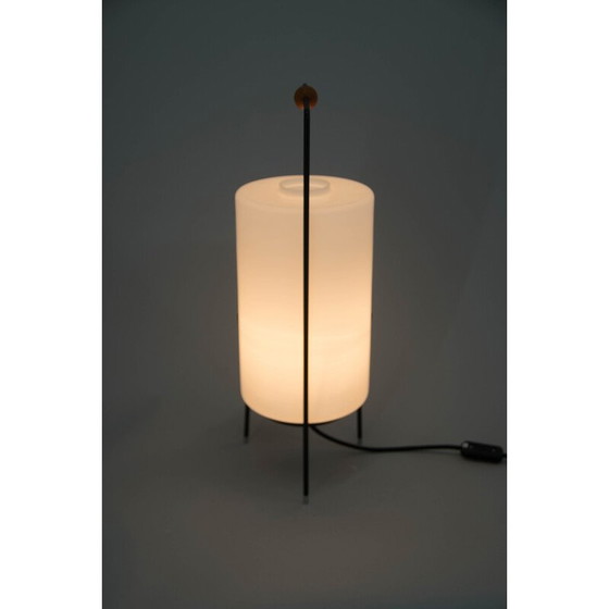 Image 1 of Lampe de table vintage par Napako, Tchécoslovaquie années 1960