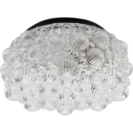 Plafonnier rond vintage en verre brillant et métal en forme de coquillage fossile 3D, 1960