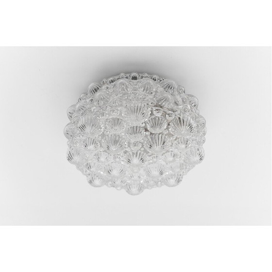 Image 1 of Plafonnier rond vintage en verre brillant et métal en forme de coquillage fossile 3D, 1960