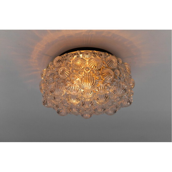 Image 1 of Plafonnier rond vintage en verre brillant et métal en forme de coquillage fossile 3D, 1960