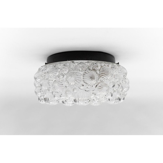 Image 1 of Plafonnier rond vintage en verre brillant et métal en forme de coquillage fossile 3D, 1960