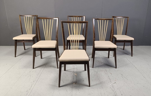 Chaises de salle à manger italiennes du Mid Century, années 1950