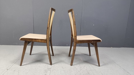 Image 1 of Chaises de salle à manger italiennes du Mid Century, années 1950