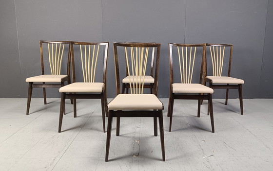 Image 1 of Chaises de salle à manger italiennes du Mid Century, années 1950