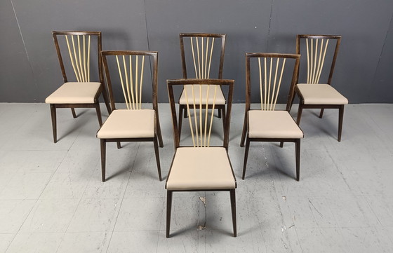 Image 1 of Chaises de salle à manger italiennes du Mid Century, années 1950