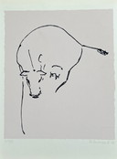 Sérigraphie K. Van Dulmen Krumpelman - Vache