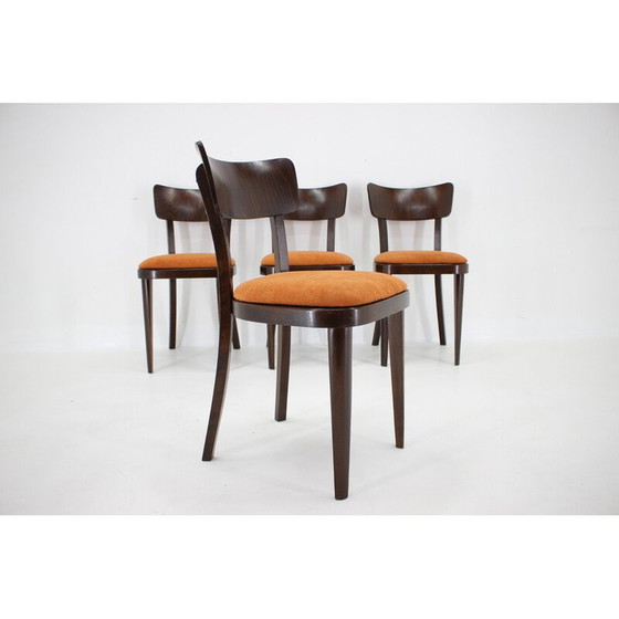 Image 1 of Ensemble de 4 chaises de salle à manger vintage en bois de hêtre teinté, Tchécoslovaquie 1950