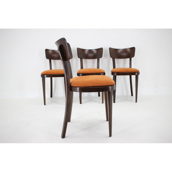 Image 1 of Ensemble de 4 chaises de salle à manger vintage en bois de hêtre teinté, Tchécoslovaquie 1950