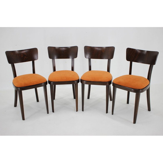 Image 1 of Ensemble de 4 chaises de salle à manger vintage en bois de hêtre teinté, Tchécoslovaquie 1950