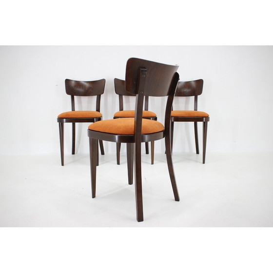 Image 1 of Ensemble de 4 chaises de salle à manger vintage en bois de hêtre teinté, Tchécoslovaquie 1950