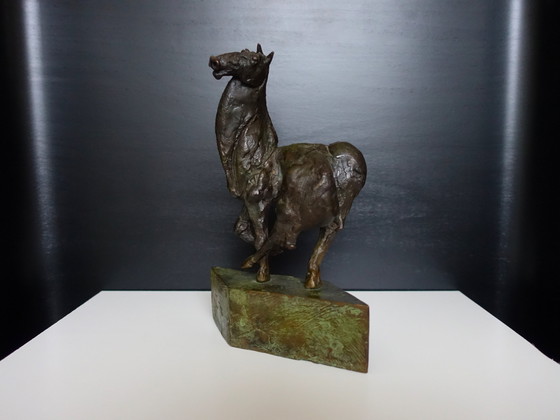 Image 1 of Wim Steins , Cheval en bronze