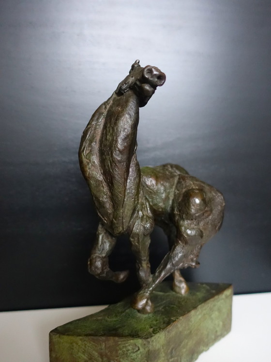 Image 1 of Wim Steins , Cheval en bronze