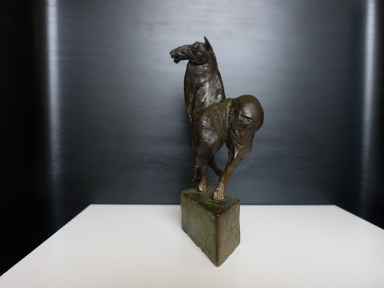 Image 1 of Wim Steins , Cheval en bronze