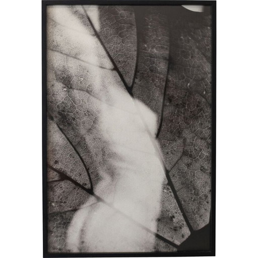 Tableau vintage Mouvements Naturels 04 par Meïdhy Bichon, 2019