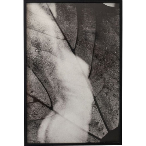 Image 1 of Tableau vintage Mouvements Naturels 04 par Meïdhy Bichon, 2019