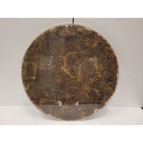 Image 1 of Plateau provençal vintage en méthacrylate et fleurs séchées, France