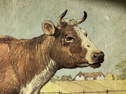 Illustration de la carte scolaire d'Antik, double face, chèvre/chevreau et vache/veau, lithographie, vie agricole, Shabby Chic