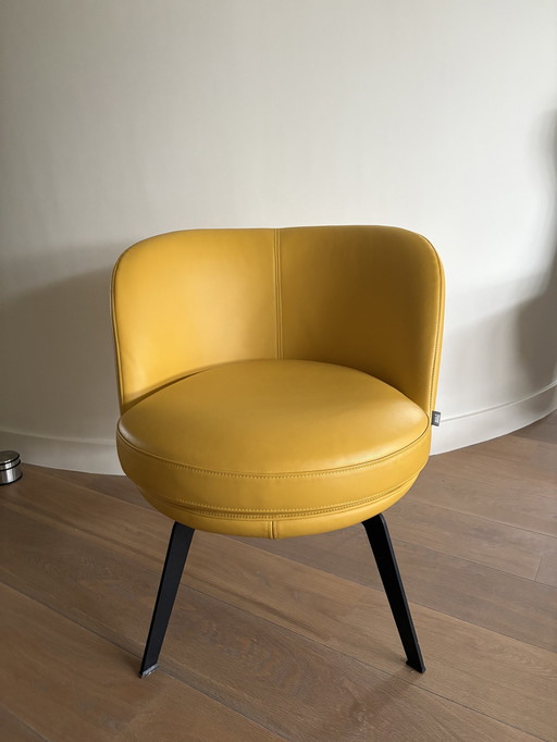 Fauteuil Rolf Benz 562 Ochre Yellow