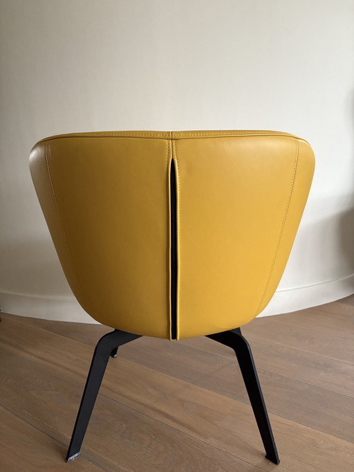 Fauteuil Rolf Benz 562 Ochre Yellow