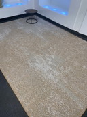 Desso Silhouettes Tapis Curve 2X3 Nouveau