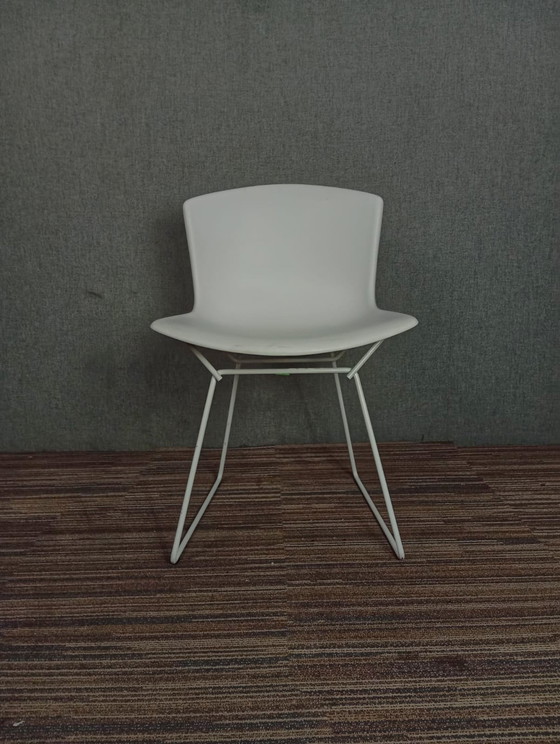 Image 1 of 1X Chaise en plastique Harry Bertoia