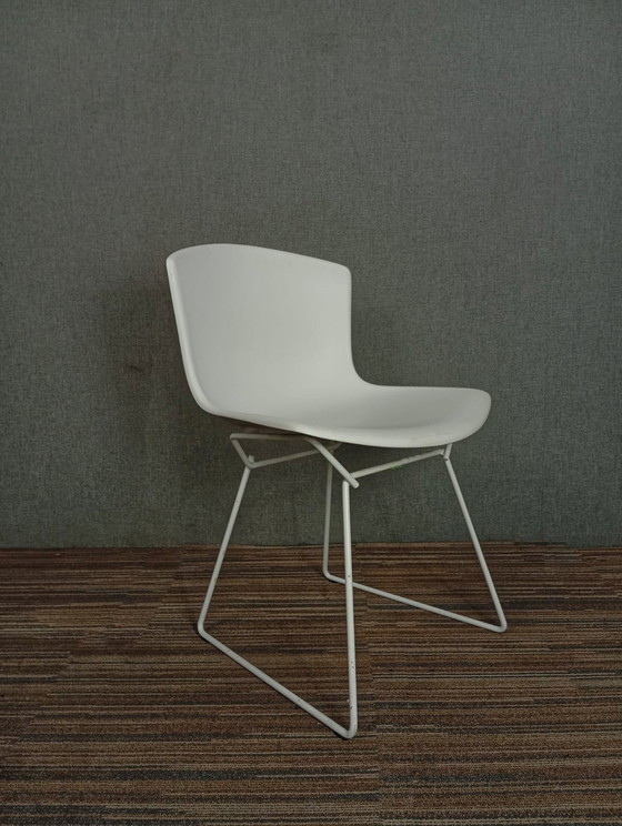 Image 1 of 1X Chaise en plastique Harry Bertoia