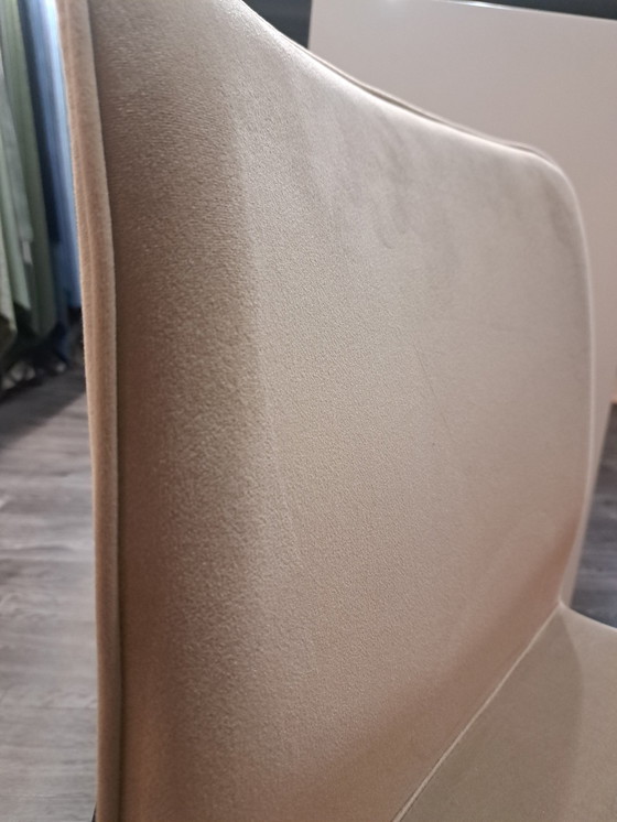 Image 1 of Newport Dining Chair Beige Velvet Fabric