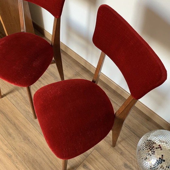 Image 1 of Paire de chaises vintage en velours rouge et bois, 1960