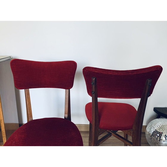Image 1 of Paire de chaises vintage en velours rouge et bois, 1960
