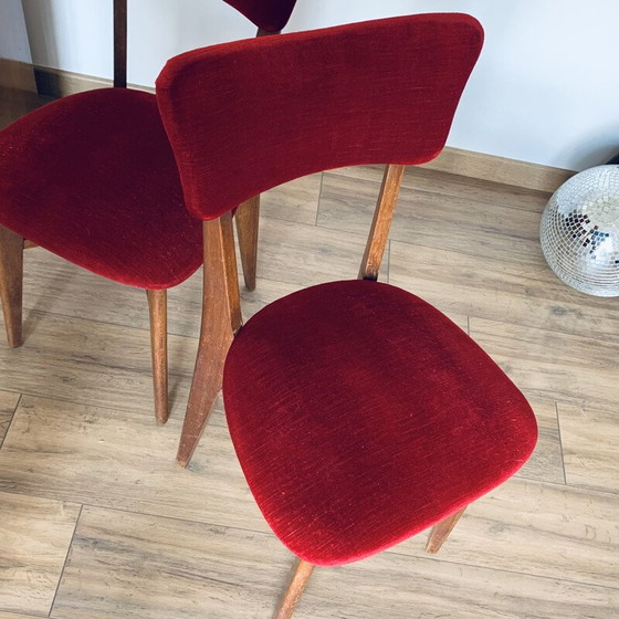Image 1 of Paire de chaises vintage en velours rouge et bois, 1960