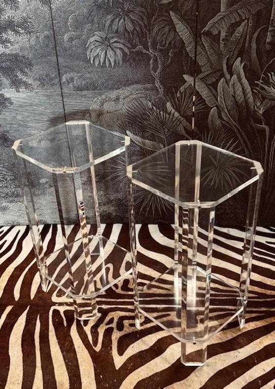 Image 1 of Set Plexiglass Lucite Piebald Plant Tables Consoles Piédestaux Tables d'appoint