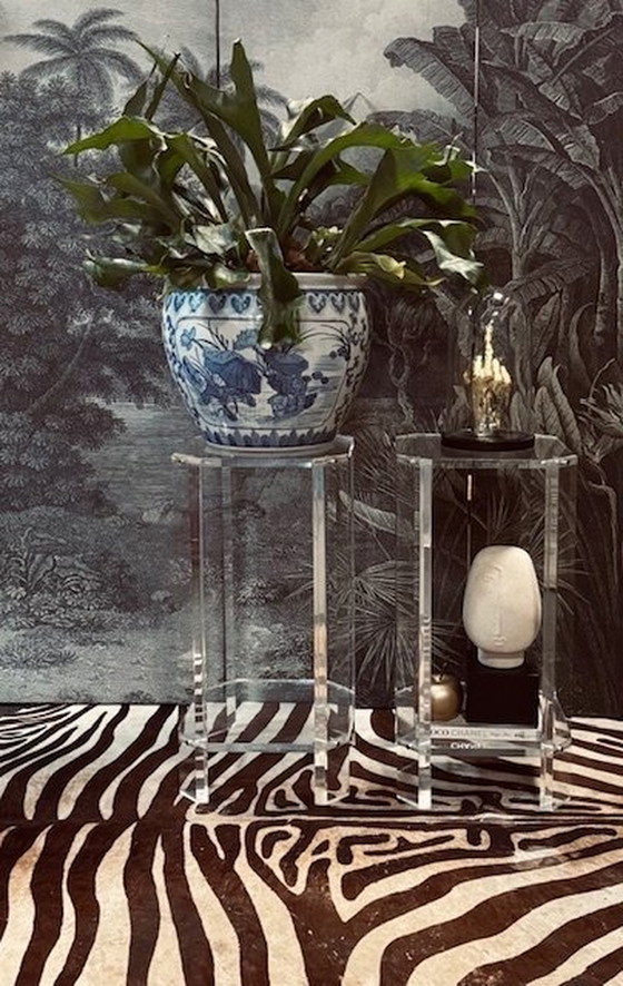Image 1 of Set Plexiglass Lucite Piebald Plant Tables Consoles Piédestaux Tables d'appoint