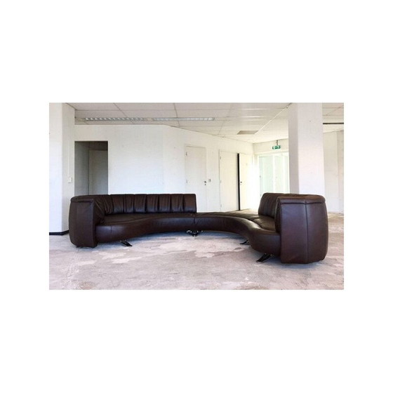 Image 1 of Vintage DeSede Leather Landscaped Sofa Model DS-106